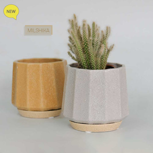 植木鉢 おしゃれ 陶器鉢 ミルシカ11 受皿付 セラミック 北欧 径12.5cm 高10cm 底穴あり