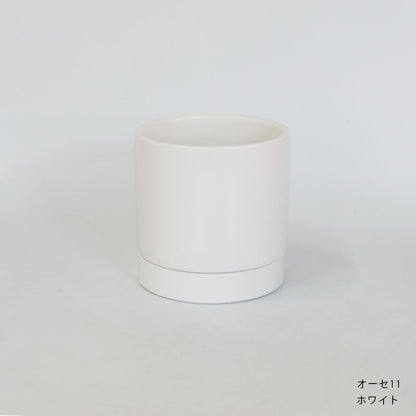 陶器鉢 オーセ11受皿付 おしゃれ シリンダー ミニ鉢 径11.5cm 高11cm 底穴あり