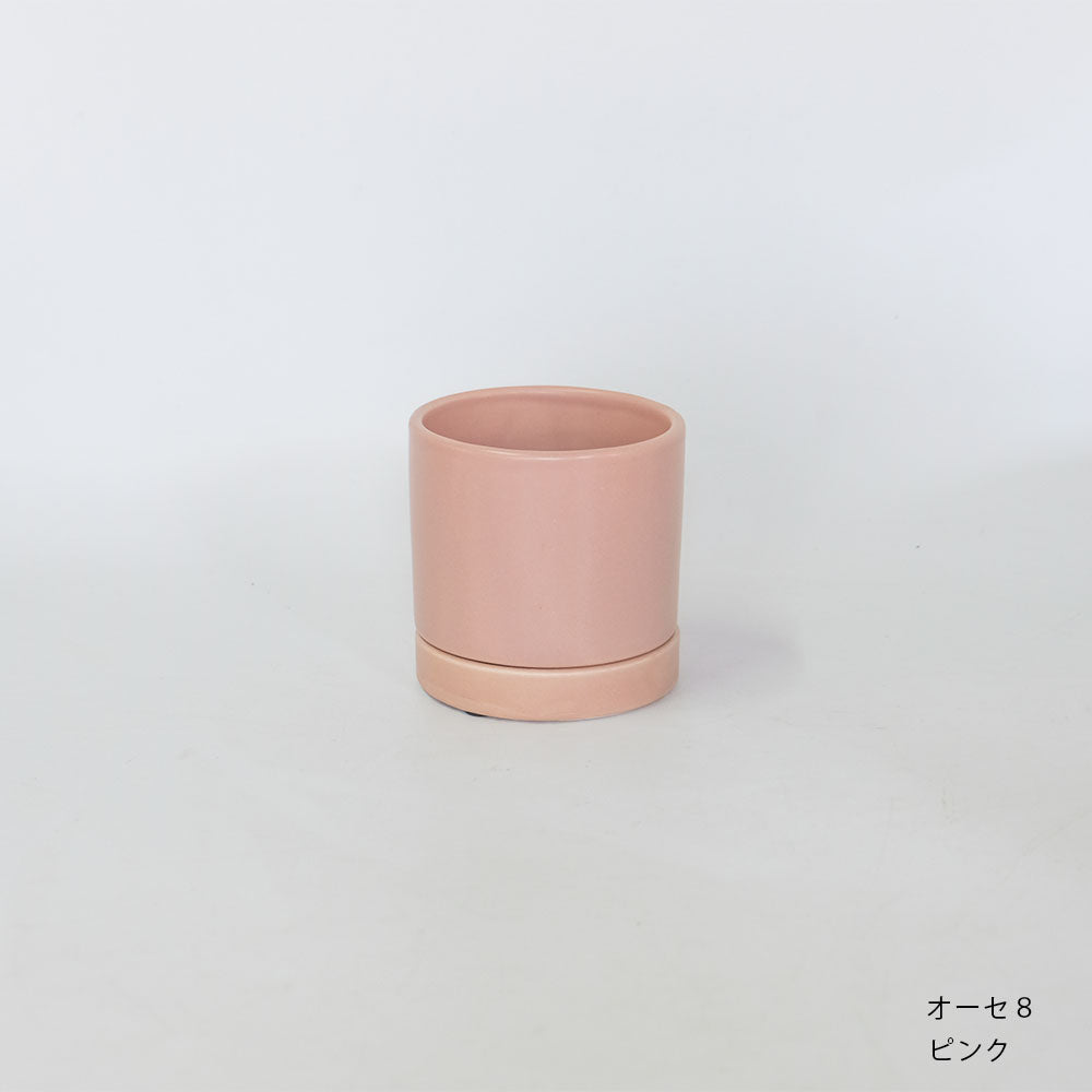 陶器鉢 オーセ８受皿付 おしゃれ シリンダー鉢 ミニ鉢 径8.5cm 高8cm 底穴あり