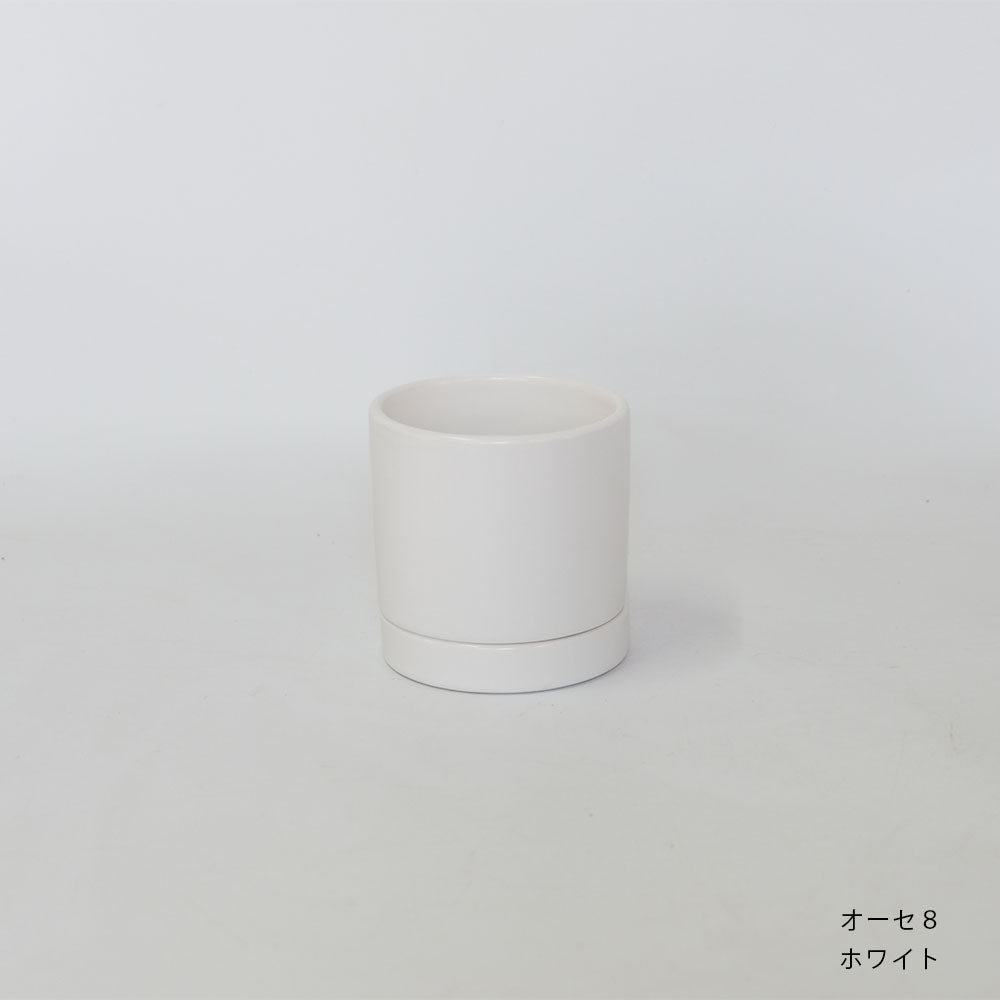陶器鉢 オーセ８受皿付 おしゃれ シリンダー鉢 ミニ鉢 径8.5cm 高8cm 底穴あり