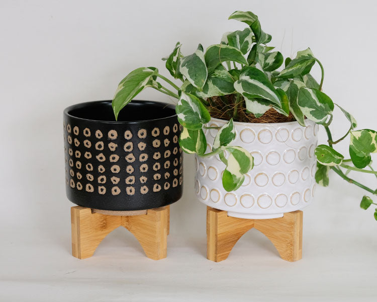 おしゃれ 植木鉢 B&W レータ15＆スタンド セット フラワースタンド 鉢台 植木鉢スタンド
