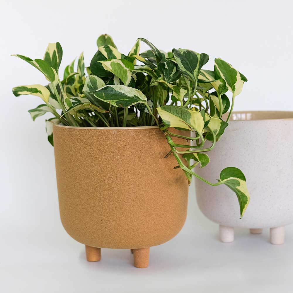 植木鉢 おしゃれ 陶器鉢 サネルマ19 底穴なし 径18cm 高さ19cm
