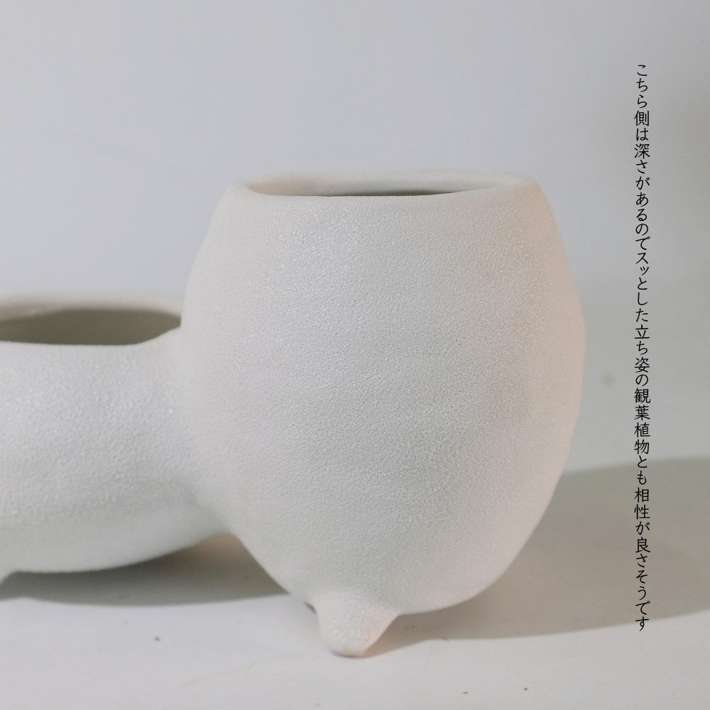 植木鉢 おしゃれ シスコ12 鉢カバー 底穴なし 変わり鉢