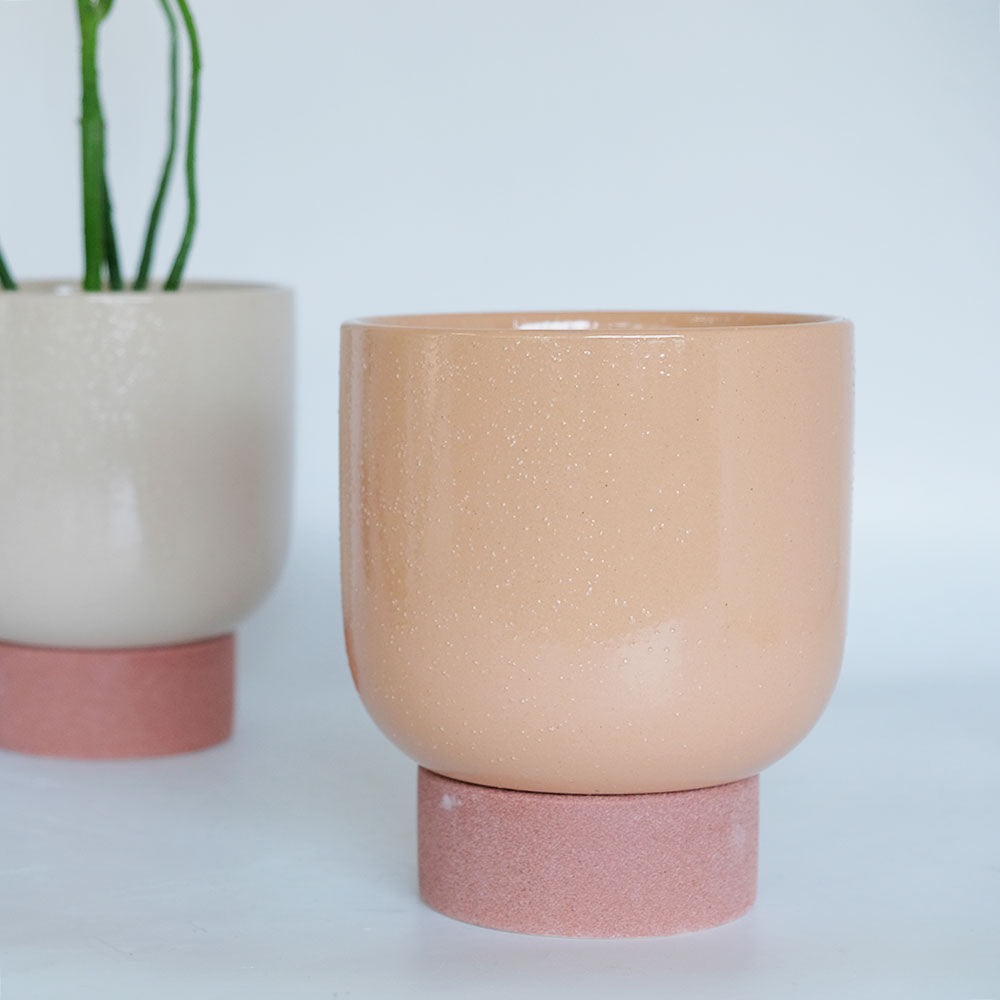 植木鉢 おしゃれ 陶器鉢 スサン16 受皿付 径16cm 高15cm 底穴あり