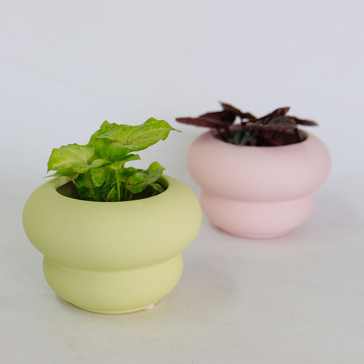 陶器鉢 鉢カバー 陶器鉢 径12.5cm 高さ8.5cm | FARM – ガーデニング日和