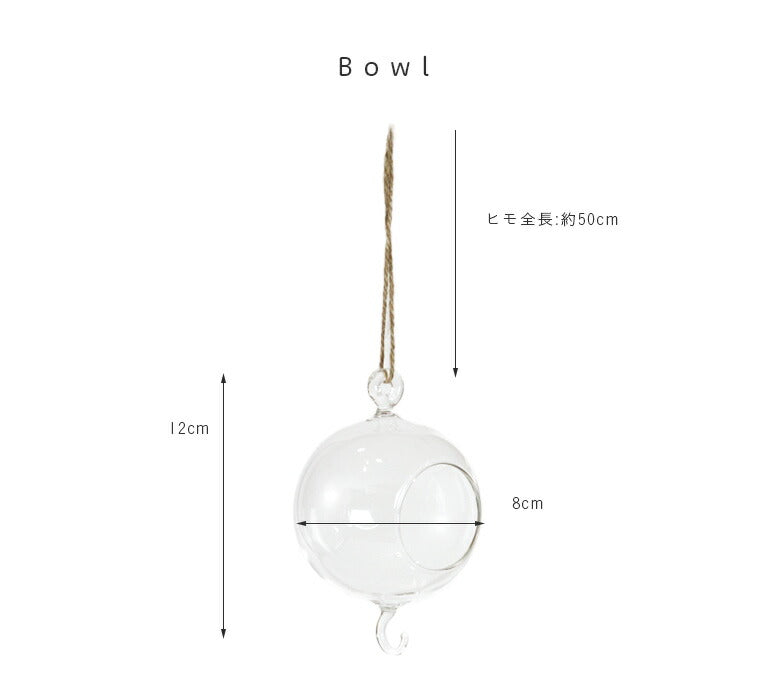 HANKING BASE BOWL テラリウム ガラス 吊り下げ ハンキング おしゃれ インテリア 容器