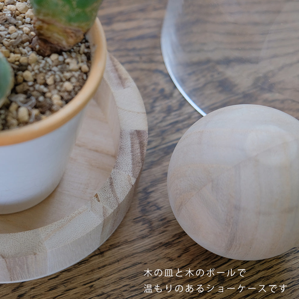 BRICK terarrium LONG ガーデニング テラリウム サボテン 多肉植物 インテリア ガラスショーケース ドーム型