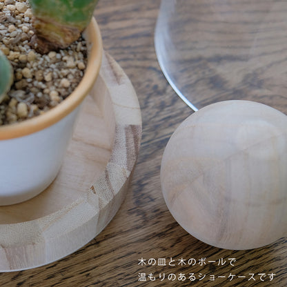 BRICK terarrium LONG ガーデニング テラリウム サボテン 多肉植物 インテリア ガラスショーケース ドーム型