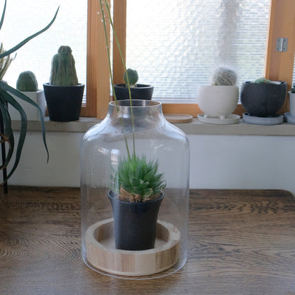BRICK terarrium LONG ガーデニング テラリウム サボテン 多肉植物 インテリア ガラスショーケース ドーム型