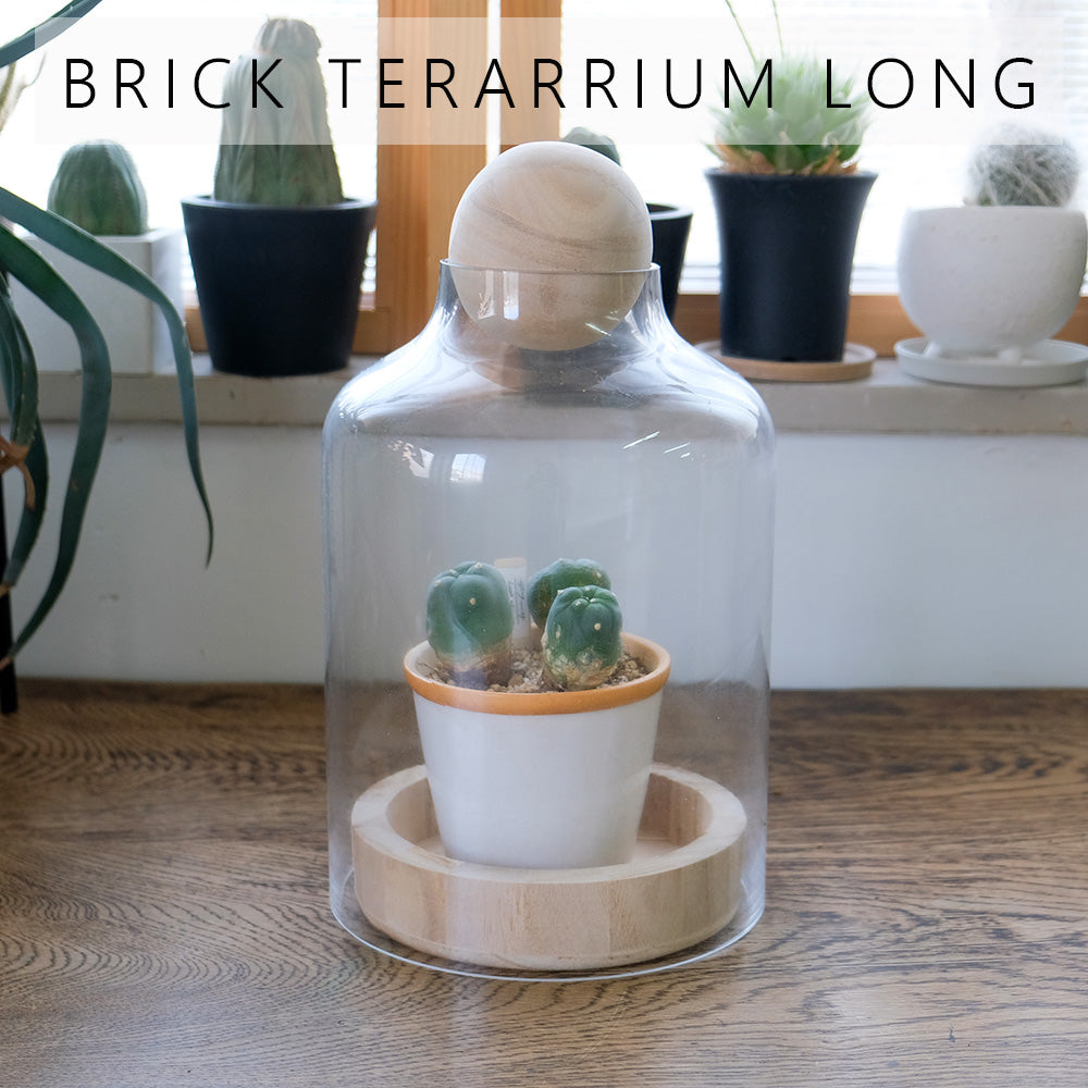 BRICK terarrium LONG ガーデニング テラリウム サボテン 多肉植物 インテリア ガラスショーケース ドーム型