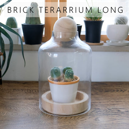 BRICK terarrium LONG ガーデニング テラリウム サボテン 多肉植物 インテリア ガラスショーケース ドーム型