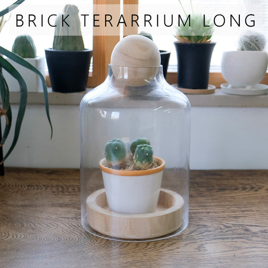 BRICK terarrium LONG ガーデニング テラリウム サボテン 多肉植物 インテリア ガラスショーケース ドーム型