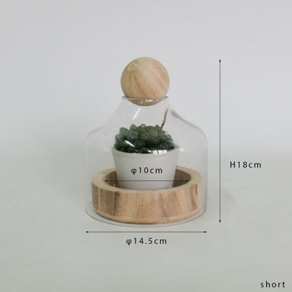 BRICK terarrium short テラリウム 多肉植物 ガラス温室