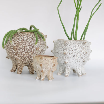 植木鉢 おしゃれ 室内 テオドラ11 鉢カバー かわいい 陶器鉢 底穴なし 径10cm 高さ9cm