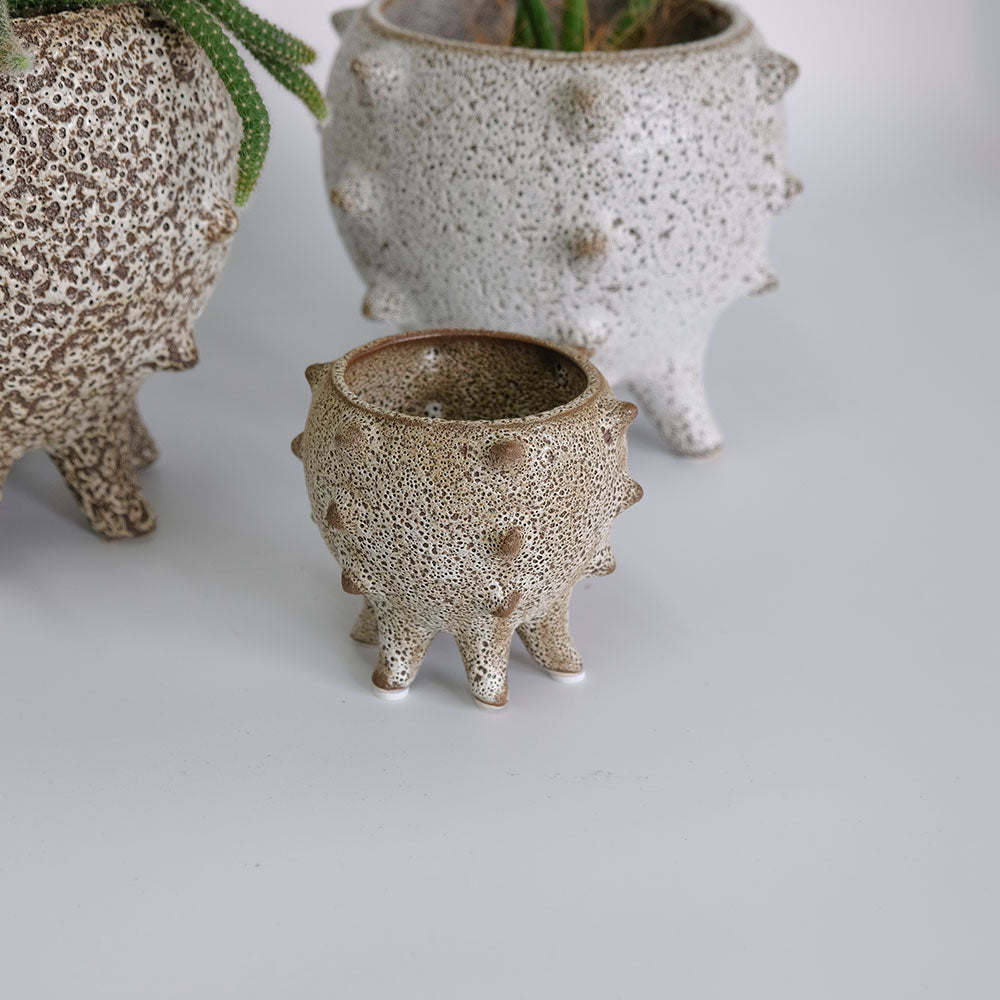 植木鉢 おしゃれ 室内 テオドラ11 鉢カバー かわいい 陶器鉢 底穴なし 径10cm 高さ9cm