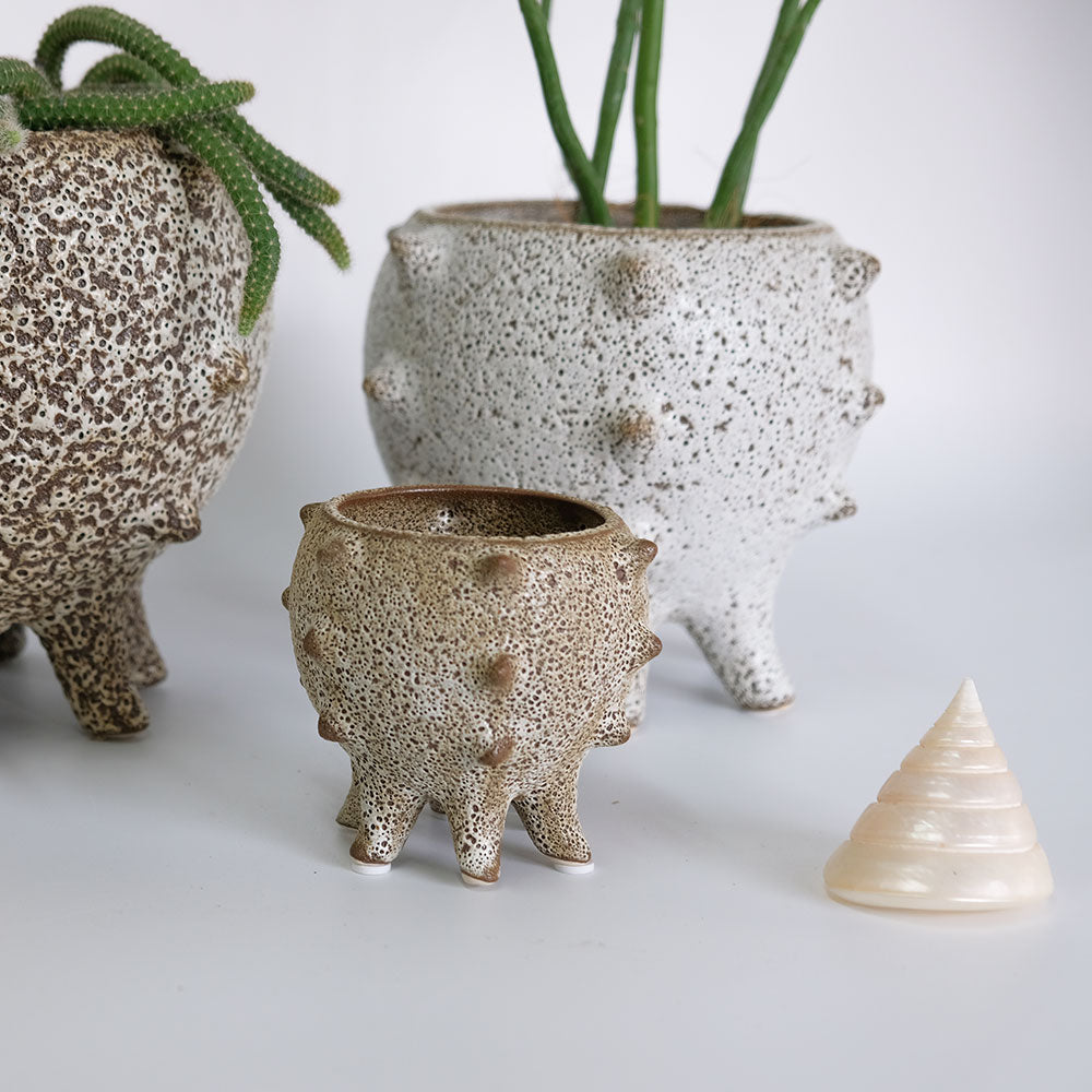 植木鉢 おしゃれ 室内 テオドラ11 鉢カバー かわいい 陶器鉢 底穴なし 径10cm 高さ9cm