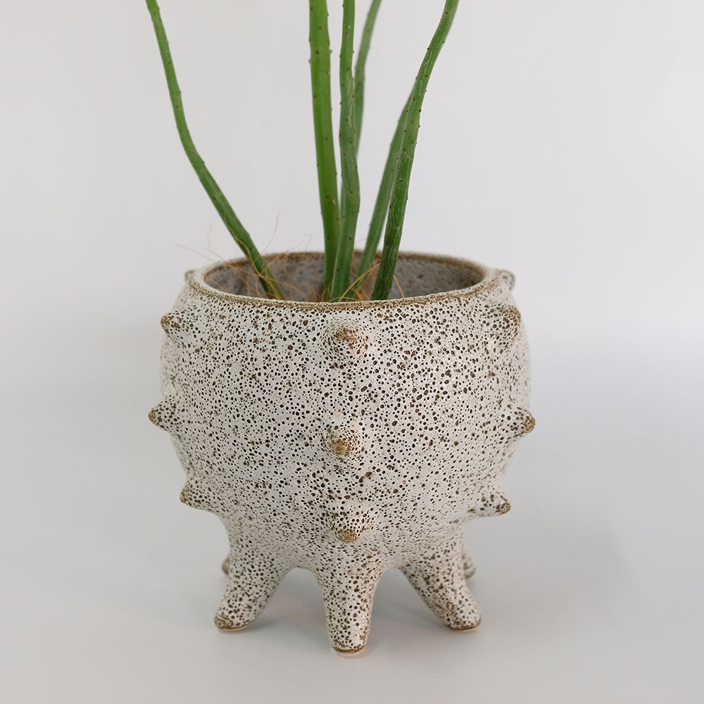 植木鉢 おしゃれ 室内  テオドラ18 鉢カバーポット 陶器 土器 底穴なし 径17cm 高さ16cm