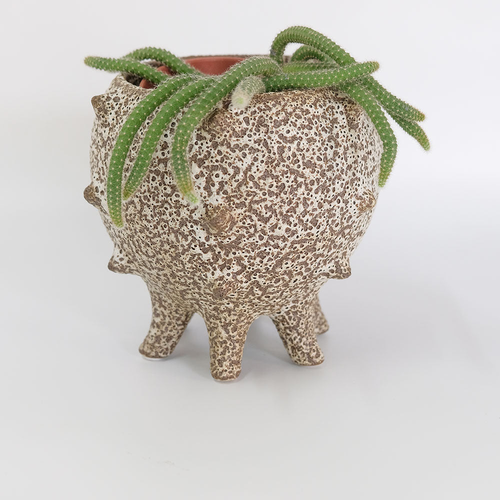 植木鉢 おしゃれ 室内 テオドラ21 鉢カバー 陶器 土器 径21cm 高さ18cm 底穴なし