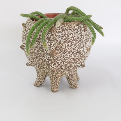 植木鉢 おしゃれ 室内 テオドラ21 鉢カバー 陶器 土器 径21cm 高さ18cm 底穴なし