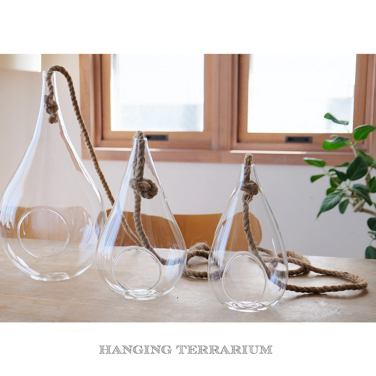 ガラステラリウム ハンキングベース LARGE HANKING VASE M L XL