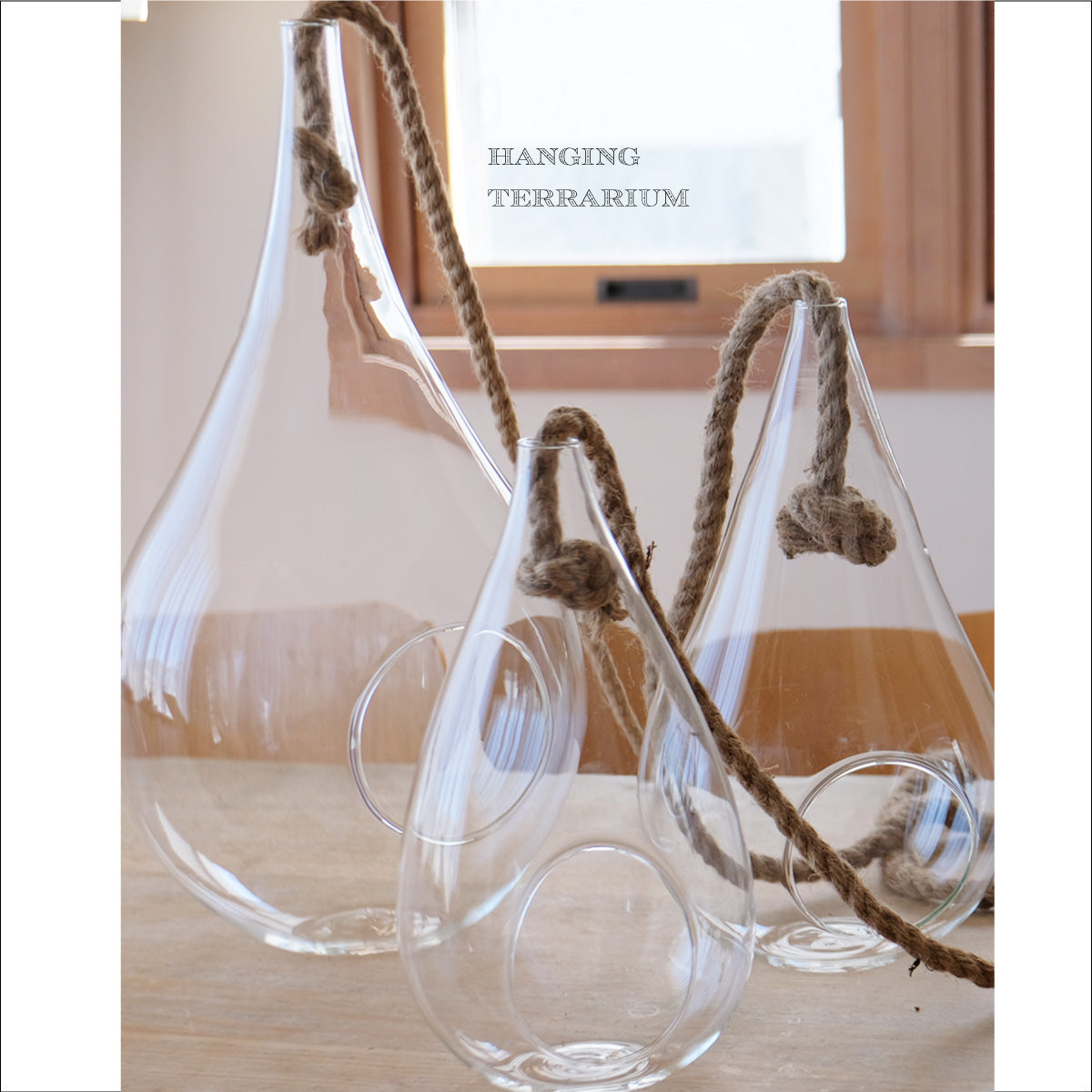 ガラステラリウム ハンキングベース LARGE HANKING VASE M L XL
