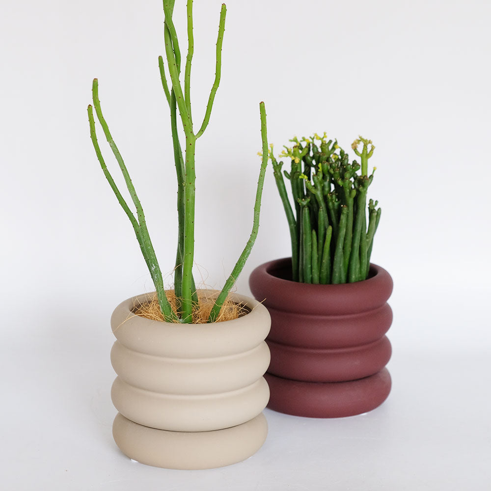 植木鉢 おしゃれ 陶器鉢 ヴィエノ13 受皿付 径13.5cm 高11.5cm 底穴あり