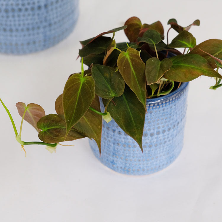 植木鉢 おしゃれ ヴィリア11 鉢カバー セラミックポット 陶器 径11cm 高さ11cm