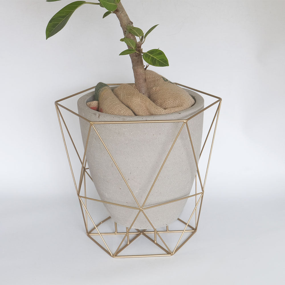 ワイヤーフロートポット ゴールド フラワースタンド 鉢台 植木鉢スタンド デザイン性の高い 8号鉢対応 6号鉢対応