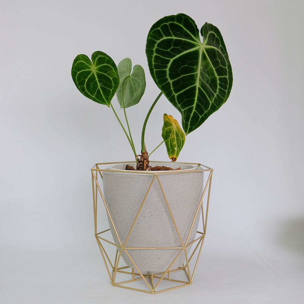 ワイヤーフロートポット ゴールド フラワースタンド 鉢台 植木鉢スタンド デザイン性の高い 8号鉢対応 6号鉢対応