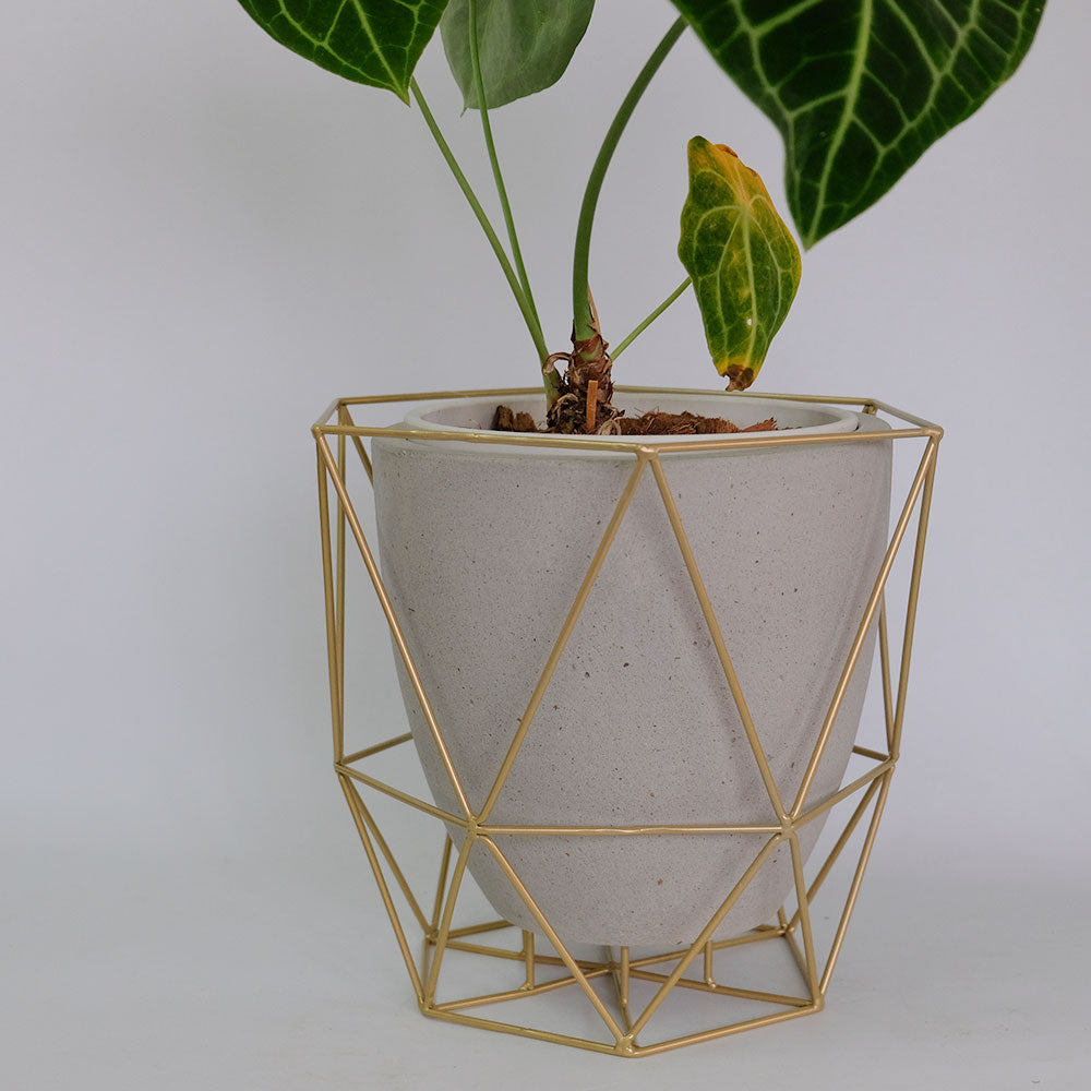 ワイヤーフロートポット ゴールド フラワースタンド 鉢台 植木鉢スタンド デザイン性の高い 8号鉢対応 6号鉢対応