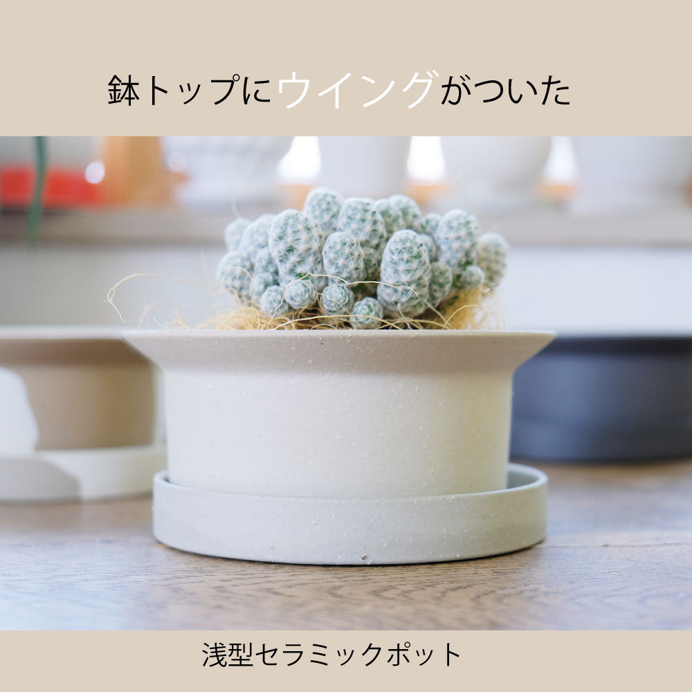 FIKA POT フィーカポット 浅鉢 植木鉢 受皿付  寄せ植え 多肉種 盆栽 シンプル  マーブル 陶器鉢 径15.5cm 高6.5cm 底穴あり