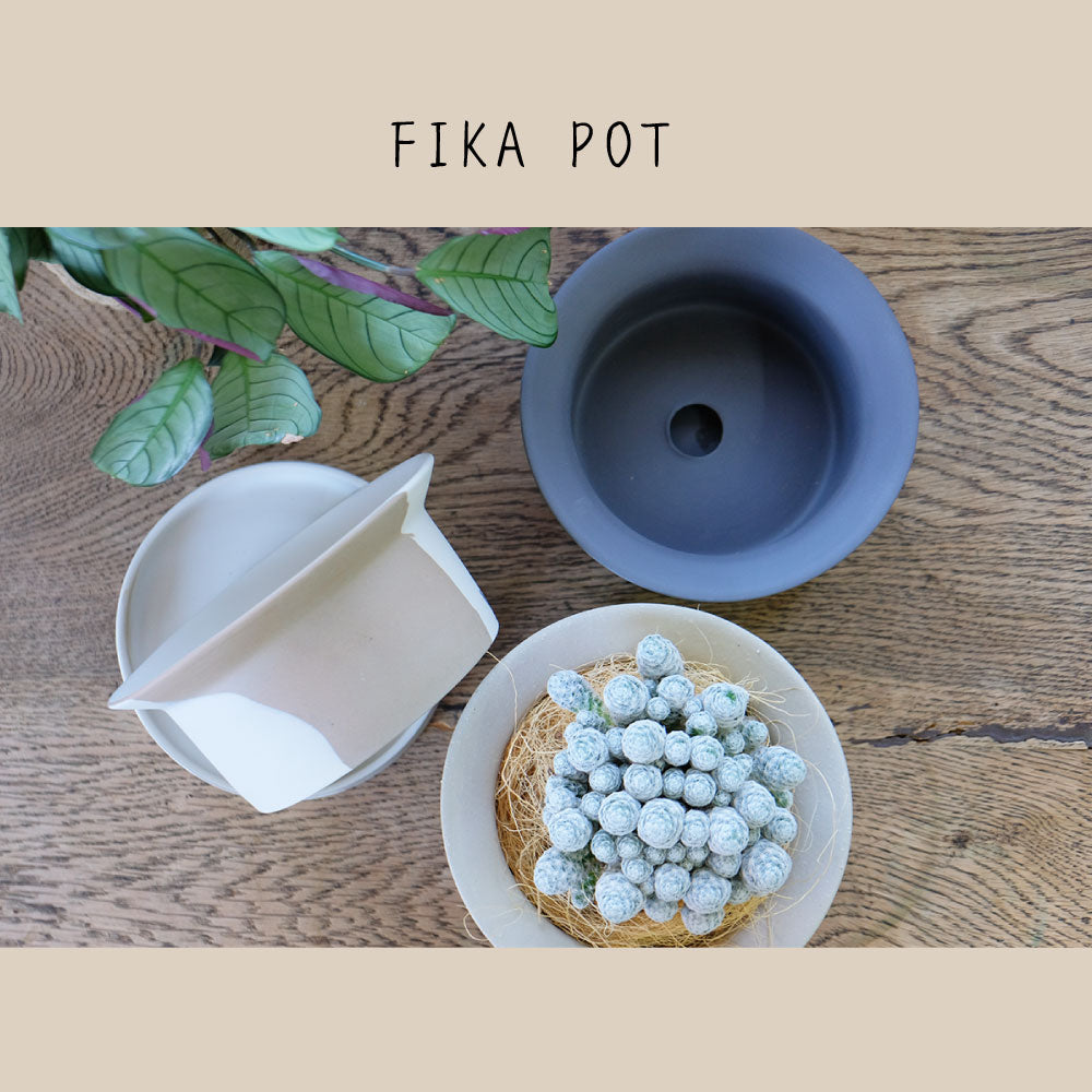 FIKA POT フィーカポット 浅鉢 植木鉢 受皿付  寄せ植え 多肉種 盆栽 シンプル  マーブル 陶器鉢 径15.5cm 高6.5cm 底穴あり