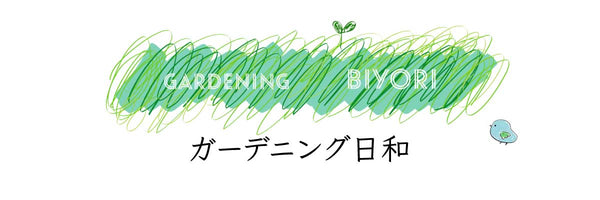 ガーデニング日和