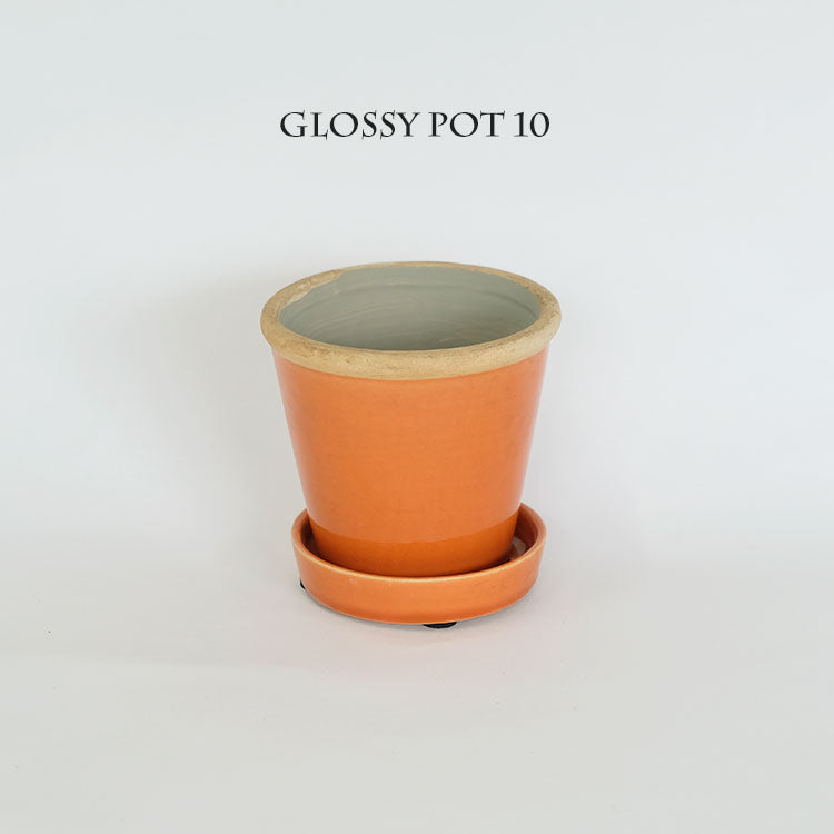 植木鉢  glossy pot 10 おしゃれ 陶器鉢 パステルカラーカラフル 径10cm 高9cm 底穴あり