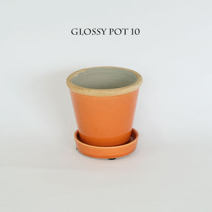 植木鉢  glossy pot 10 おしゃれ 陶器鉢 パステルカラーカラフル 径10cm 高9cm 底穴あり