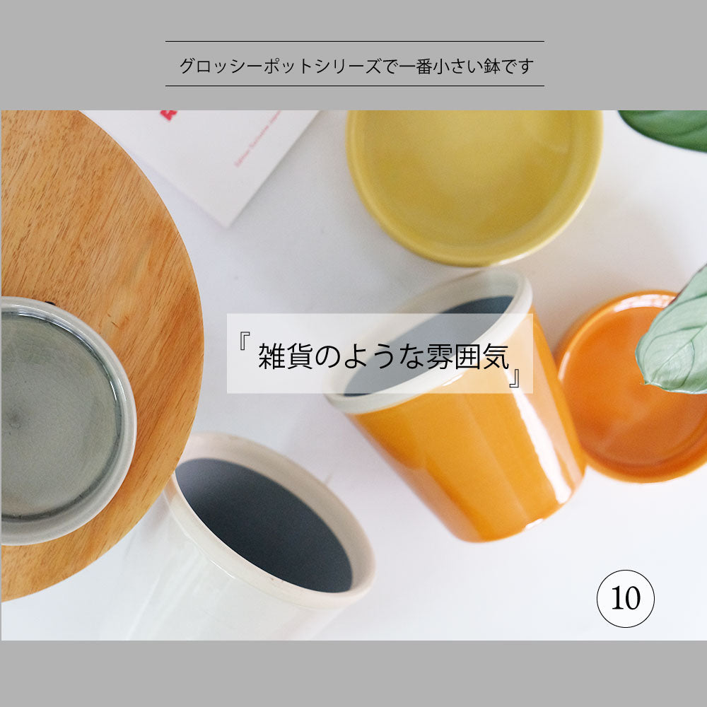 植木鉢  glossy pot 10 おしゃれ 陶器鉢 パステルカラーカラフル 径10cm 高9cm 底穴あり