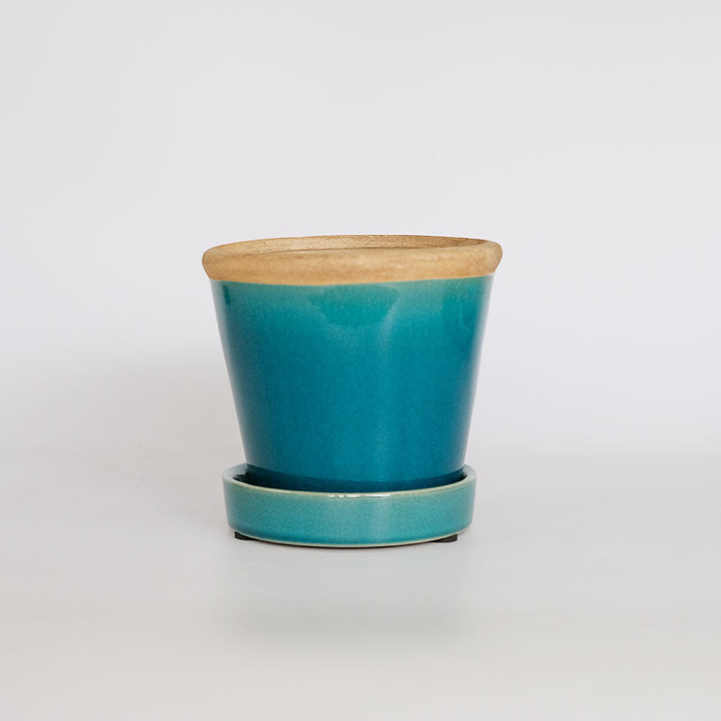 glossy pot 13 植木鉢 おしゃれ 陶器鉢 パステルカラー カラフル 室内 径13cm 高11.5cm 底穴あり