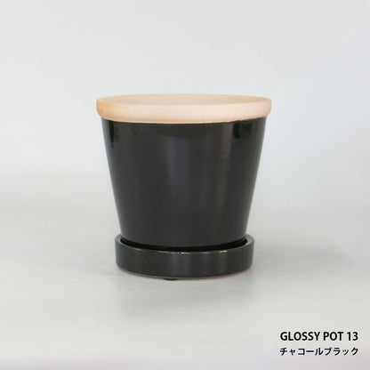 glossy pot 13 植木鉢 おしゃれ 陶器鉢 パステルカラー カラフル 室内 径13cm 高11.5cm 底穴あり