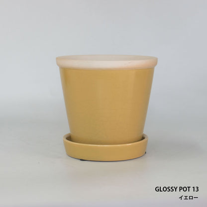 glossy pot 13 植木鉢 おしゃれ 陶器鉢 パステルカラー カラフル 室内 径13cm 高11.5cm 底穴あり