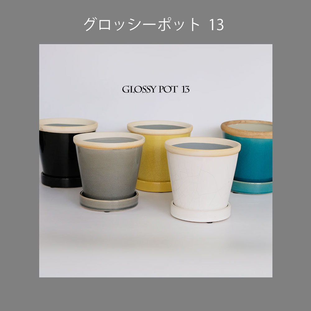 glossy pot 13 植木鉢 おしゃれ 陶器鉢 パステルカラー カラフル 室内 径13cm 高11.5cm 底穴あり