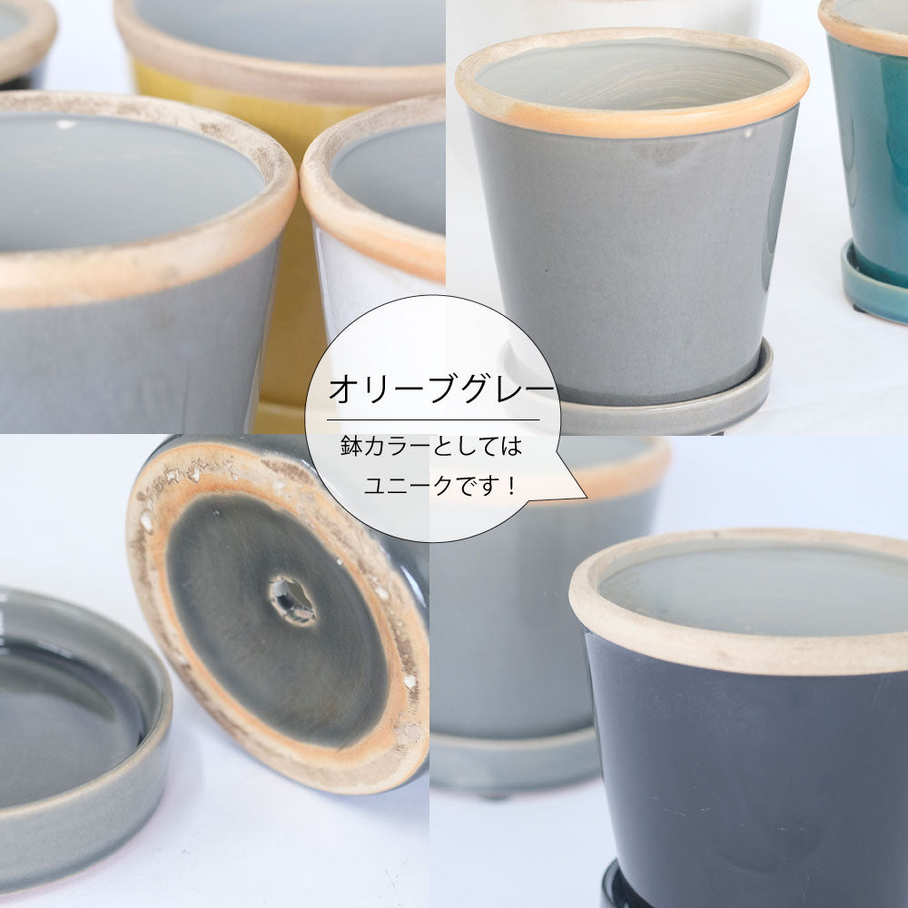 glossy pot 13 植木鉢 おしゃれ 陶器鉢 パステルカラー カラフル 室内 径13cm 高11.5cm 底穴あり