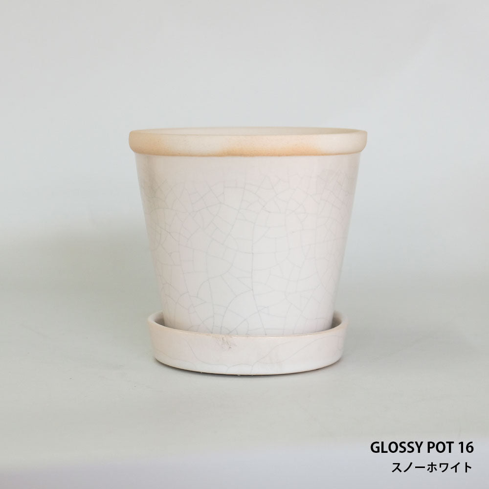 植木鉢  glossy pot 16 おしゃれ 陶器鉢 パステルカラー カラフル 径16cm 高16cm 底穴あり