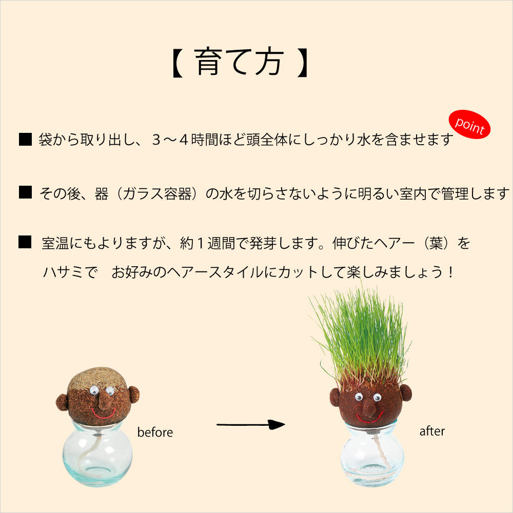 HAIR LABO ガーデニング 栽培キット 芝 室内 おもしろ植物 ヘアラボ