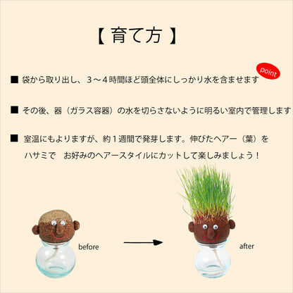 HAIR LABO ガーデニング 栽培キット 芝 室内 おもしろ植物 ヘアラボ