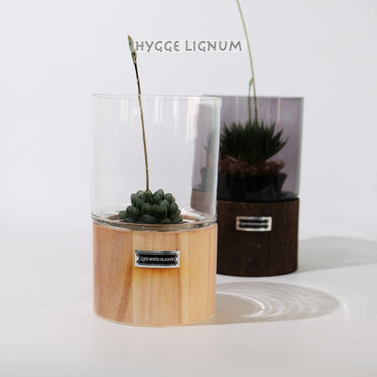 テラリウム Hygge Lignum フラワーベース飾り ガラスガラスケース 径12cm高さ20cm