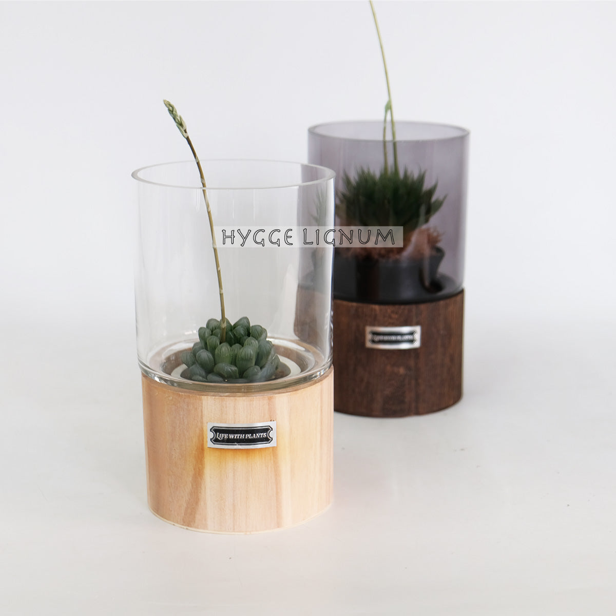 テラリウム Hygge Lignum フラワーベース飾り ガラスガラスケース 径12cm高さ20cm