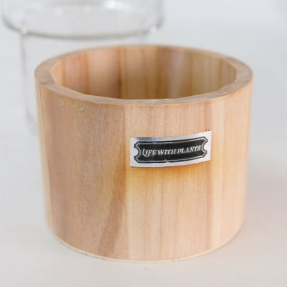 テラリウム Hygge Lignum フラワーベース飾り ガラスガラスケース 径12cm高さ20cm