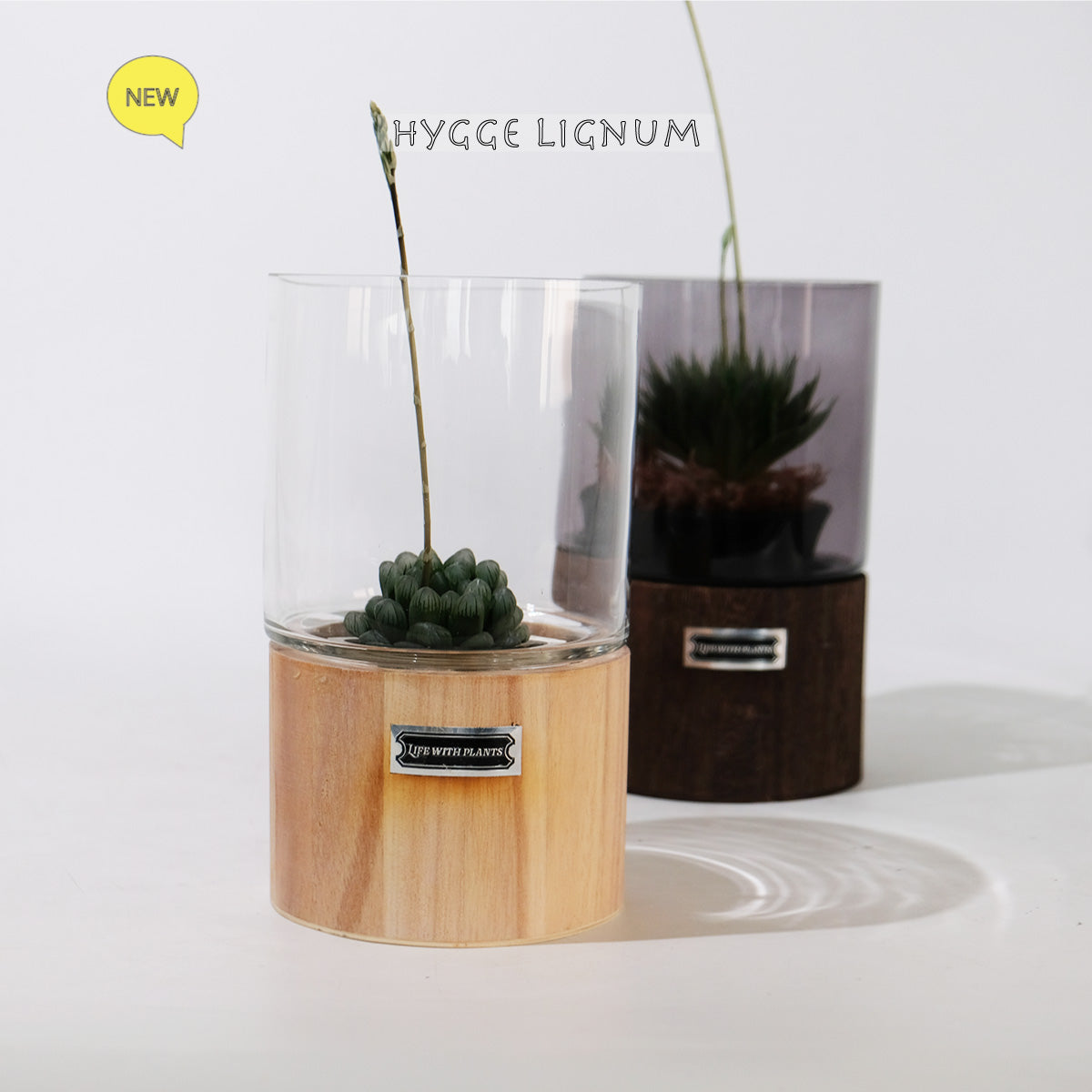 テラリウム Hygge Lignum フラワーベース飾り ガラスガラスケース 径12cm高さ20cm