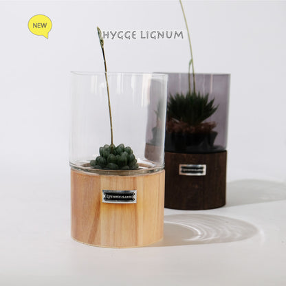 テラリウム Hygge Lignum フラワーベース飾り ガラスガラスケース 径12cm高さ20cm
