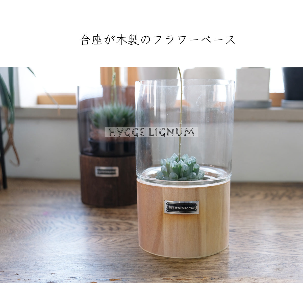 テラリウム Hygge Lignum フラワーベース飾り ガラスガラスケース 径12cm高さ20cm